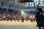 Cavalry - 00259